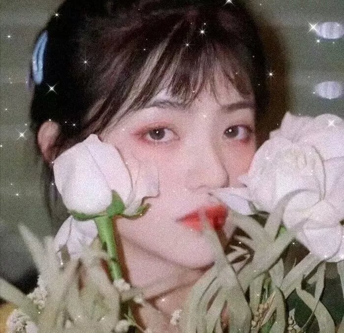 女篮双娇